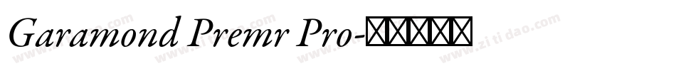 Garamond Premr Pro字体转换